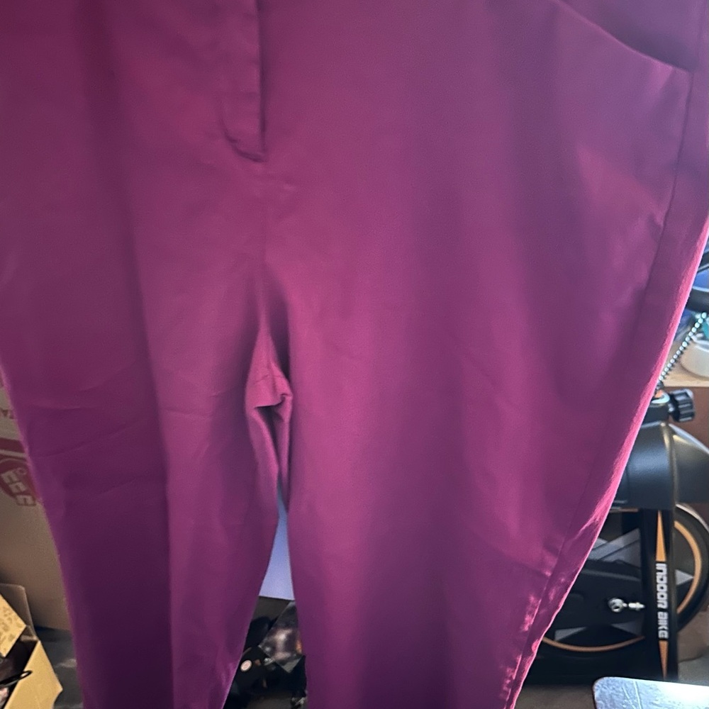 Worthington Fuchsia Pants